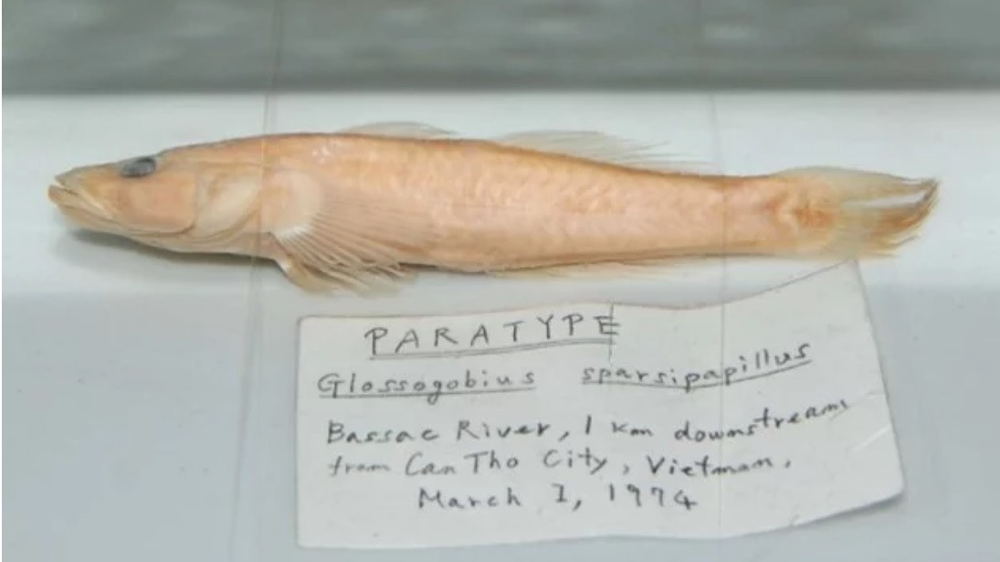 Hoang Thai tu Nhat Ban tham bao tang Sinh hoc, Truong DH Khoa hoc Tu nhien-Hinh-2