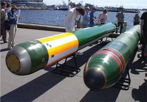 Để dẫn đến mục tiêu, ngư lôi sử dụng hệ tự dẫn thủy âm với hệ thống nhận dạng vệt nước đuôi tàu với cự ly phản ứng của hệ tự dẫn là từ 1,2-2,5 km và cự ly phản ứng của ngòi nổ không tiếp xúc là từ 2-8 m tùy thuộc chủng loại và kích thước mục tiêu.