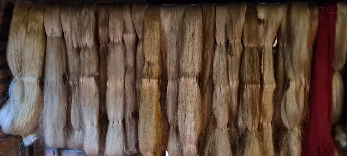 Ươm tơ chuẩn thì mới có thể dệt ra tấm lụa tốt.