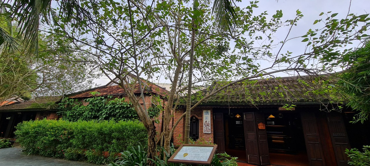 Ngay phía trước Xưởng dệt là cây dâu Chămpa hơn trăm năm tuổi, được mang từ vùng đất Quế Sơn về Làng lụa vào năm 2012.