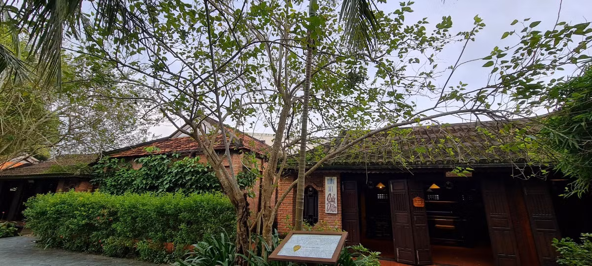 Ngay phía trước Xưởng dệt là cây dâu Chămpa hơn trăm năm tuổi, được mang từ vùng đất Quế Sơn về Làng lụa vào năm 2012.