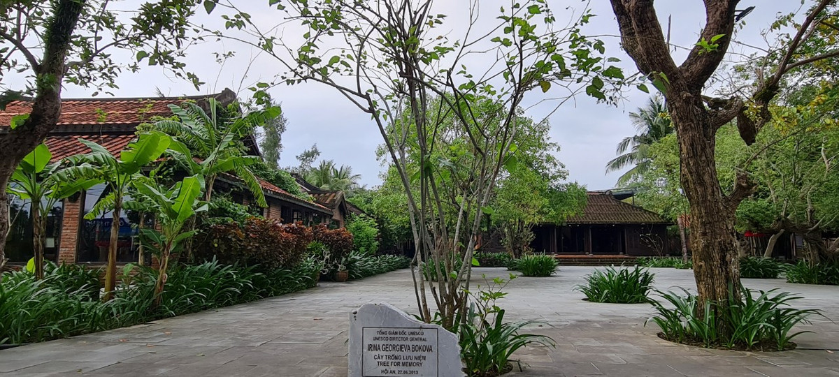 Trong bộ sưu tập các cây dâu ở Làng lụa Hội An còn có cây dâu do Tổng Giám đốc UNESCO trồng lưu niệm.