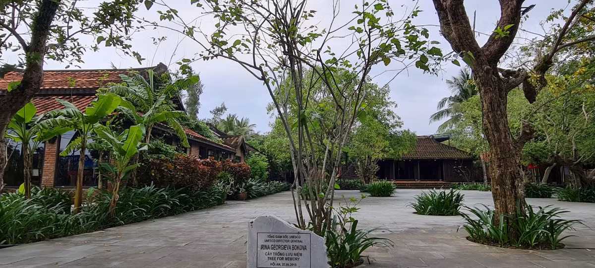 Trong bộ sưu tập các cây dâu ở Làng lụa Hội An còn có cây dâu do Tổng Giám đốc UNESCO trồng lưu niệm.