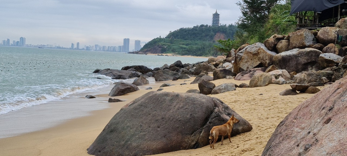 Thành phố ẩn hiện trong lớp sương mờ làm cho khung cảnh thêm phần thơ mộng.