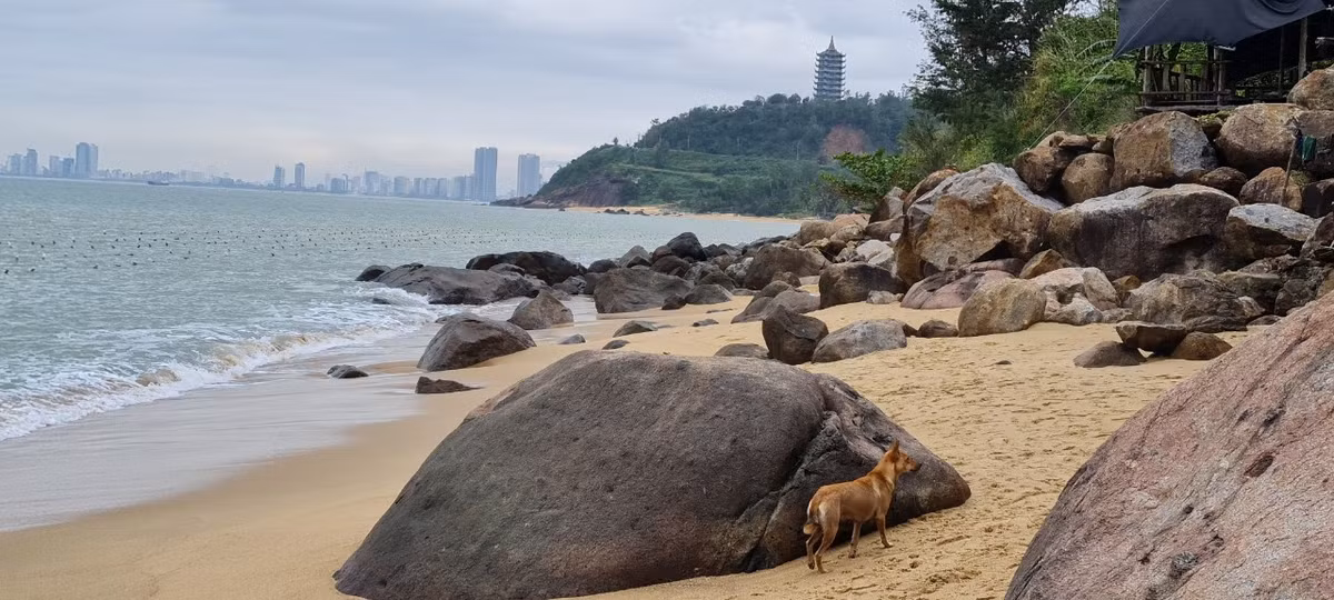 Thành phố ẩn hiện trong lớp sương mờ làm cho khung cảnh thêm phần thơ mộng.