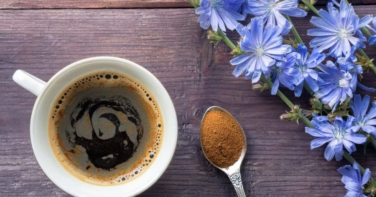  7. Muckefuck Muckefuck trông giống như cà phê, nó được pha chế gần như giống nhưng không phải là cà phê. Nó là thức uống không chỉ nổi tiếng ở Đức mà còn ở Trung và Tây Âu. Đồ uống này không có caffein, được làm từ ngũ cốc rang.