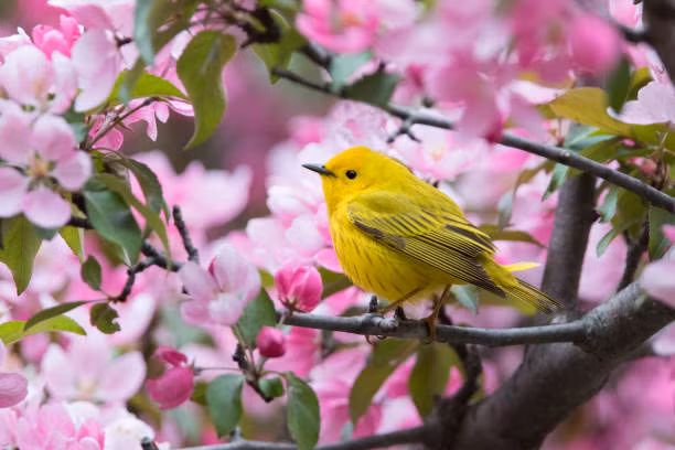 Truoc Tet Nguyen dan, 4 con giap duoc quy nhan giup do, tai loc khong thieu-Hinh-4