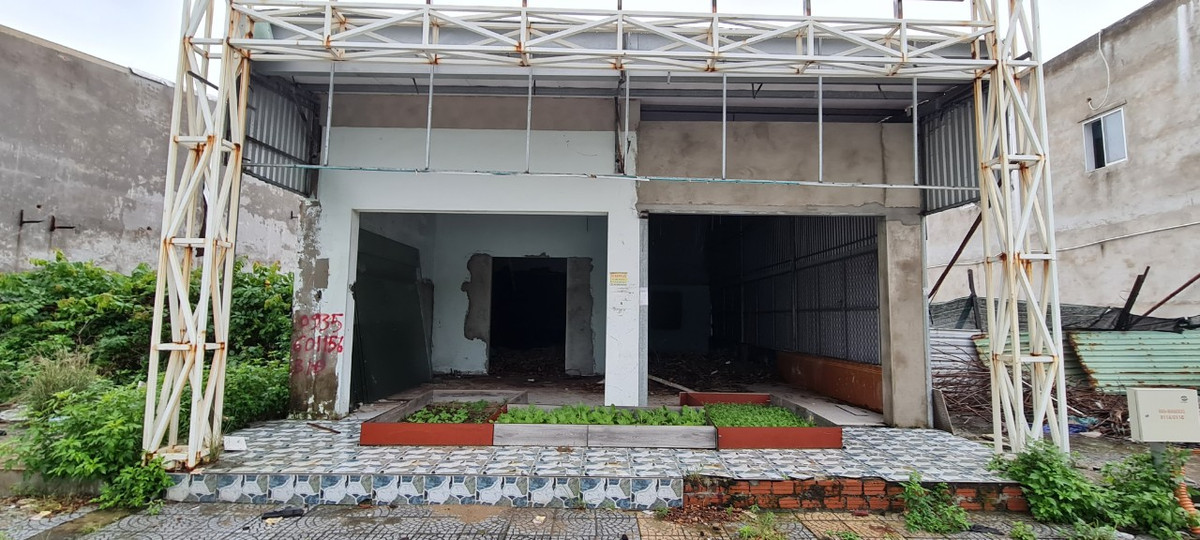 Phía trước mặt tiền ngôi nhà bị bỏ hoang lâu ngày đã được người dân tận dụng để ...trồng rau.