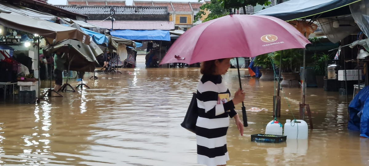 Hoặc lội bộ giữa dòng nước.