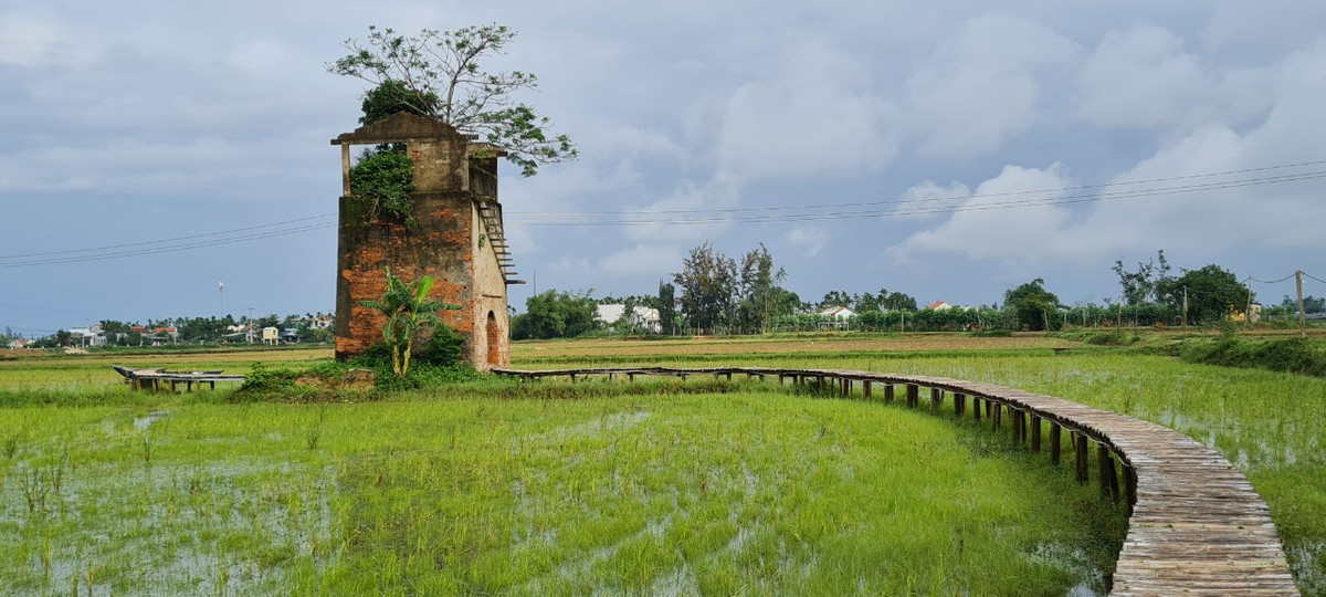 Lò gạch cũ bị bỏ hoang gần 20 năm, đã nhuốm màu thời gian.