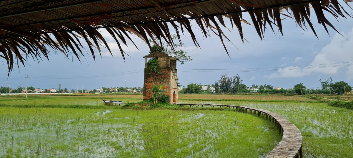Bạn có thể chọn ngồi ngay dưới gốc cây bàn để nghỉ mát, vừa ngắm view lò gạch cũ tuyệt đẹp trong ánh hoàng hôn.