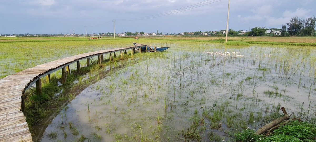 Tới đây, bạn sẽ có cơ hội thả mình vào thiên nhiên trong lành cũng như thỏa sức "sống ảo".