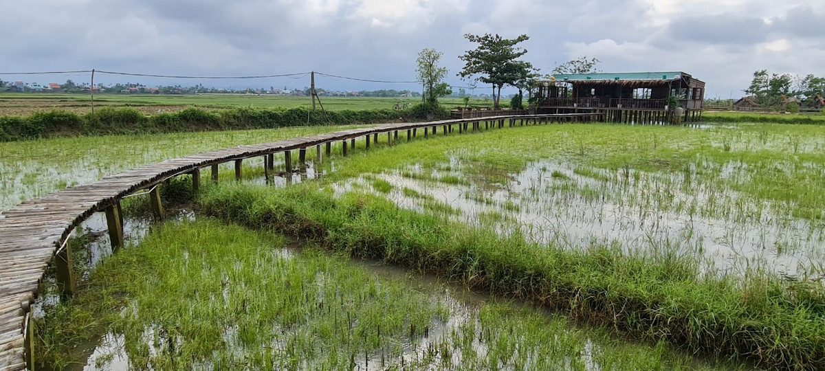 Chiếc cầu tre hình vòng cung dẫn từ lò gạch đến quán café vừa tạo con đường cho khách tham quan, vừa có thêm không gian để bạn trẻ chụp hình.