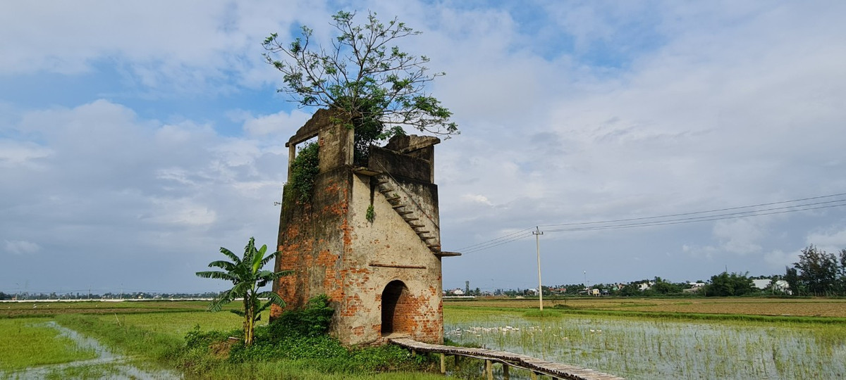 ò gạch cũ sừng sững như một cổng thành giữa cánh đồng đang mùa gieo hạt.