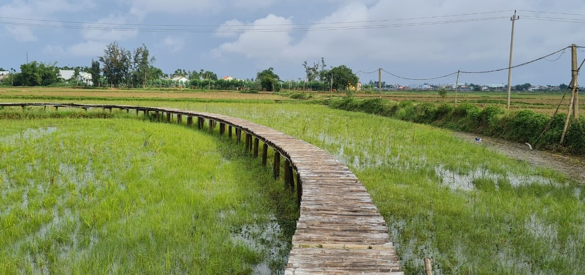 Con đường quanh co dẫn vào điểm check-in yêu thích của giới trẻ.