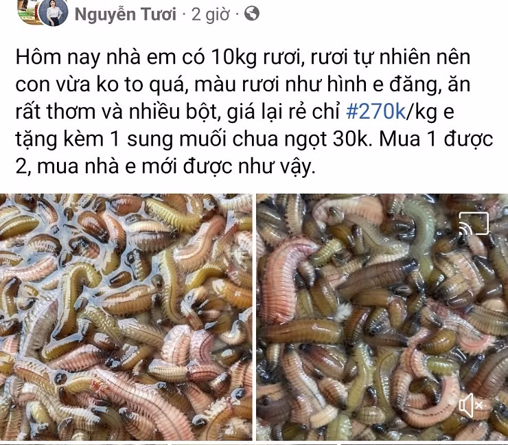Dac san “rong dat” bat ngo duoc rao ban gia re, 330 nghin dong/kg-Hinh-4