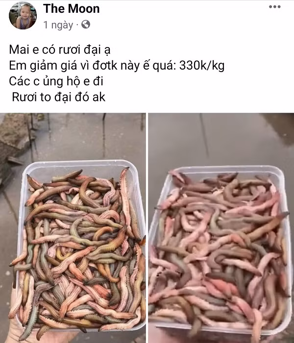 Dac san “rong dat” bat ngo duoc rao ban gia re, 330 nghin dong/kg-Hinh-2
