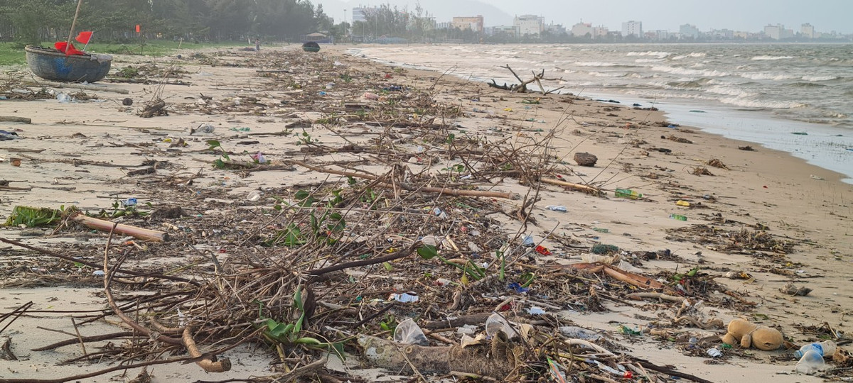 Cả một đoạn bờ biển chìm trong rác thải.