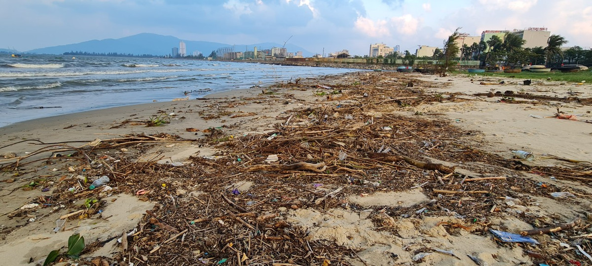 hoặc nằm la liệt hàng km dọc bờ biển.