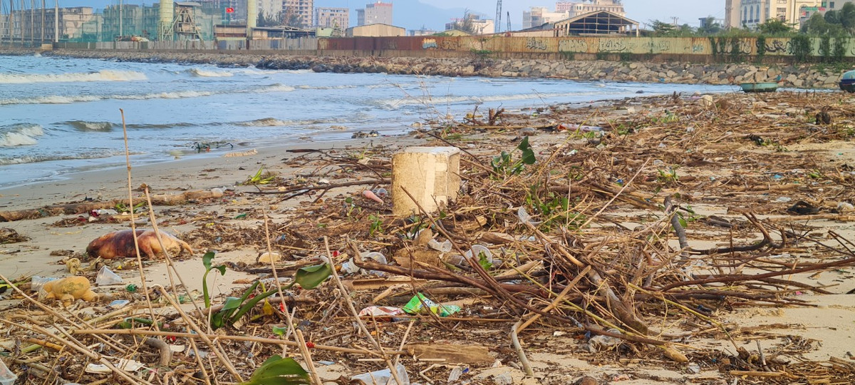 ...đến củi khô các loại.