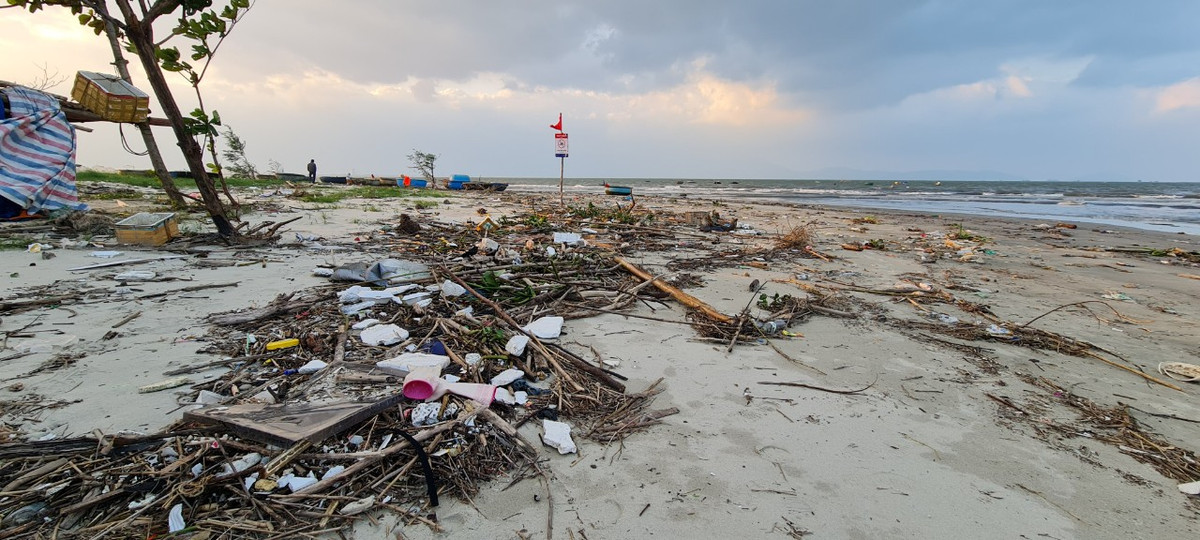 Rác trôi dạt vào bờ.