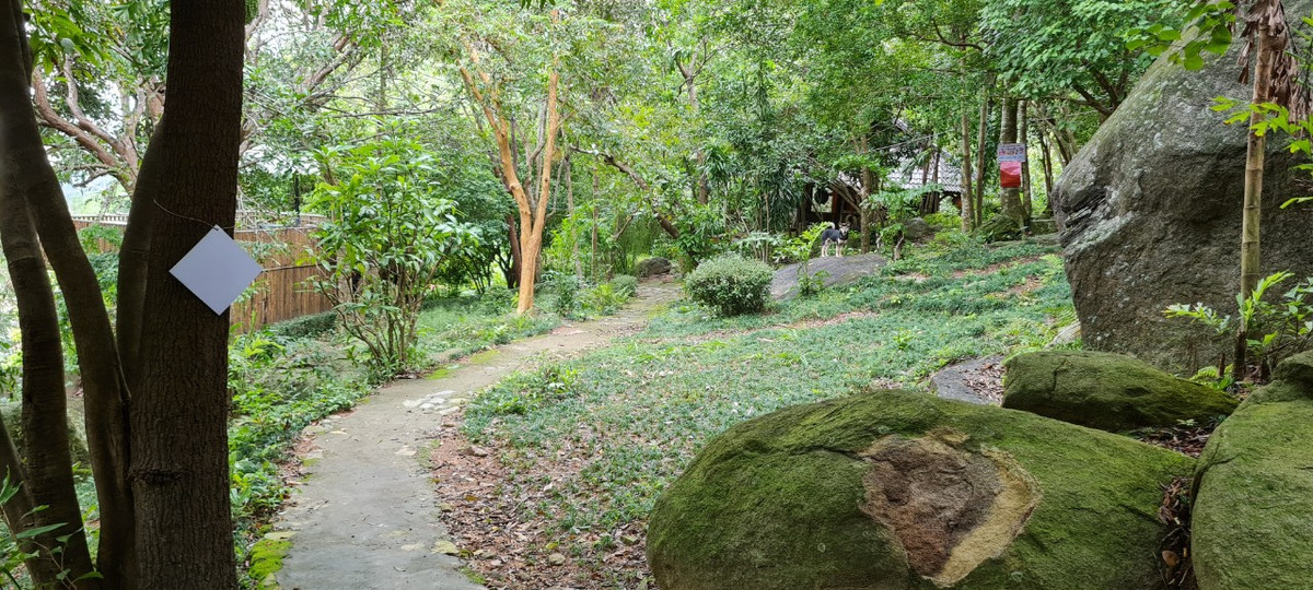 Men theo những con đường nhỏ giữa khung cảnh thiên nhiên tuyệt đẹp.