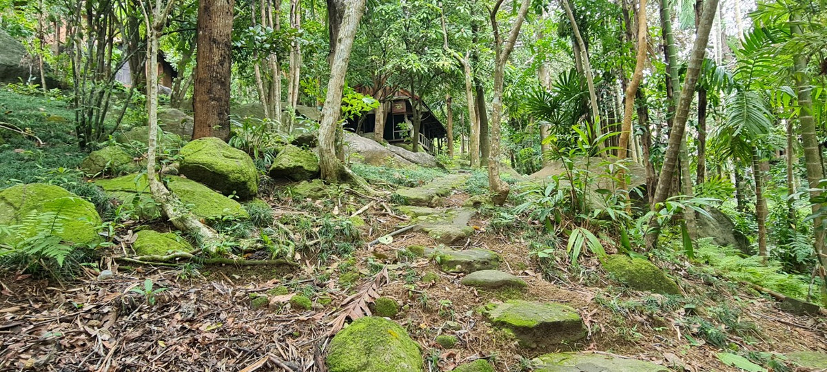 Nằm yên bình dưới những tán cây xanh mướt, không gian rừng núi hoang sơ, những con đường được lát bằng đá khối rêu phong rất lạ mắt và độc đáo.