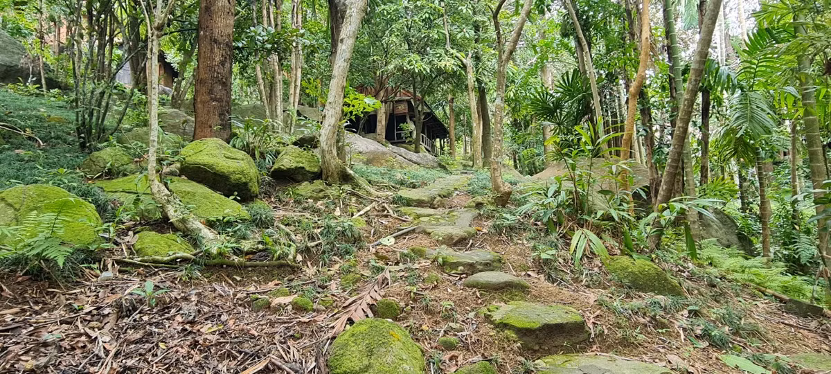 Nằm yên bình dưới những tán cây xanh mướt, không gian rừng núi hoang sơ, những con đường được lát bằng đá khối rêu phong rất lạ mắt và độc đáo.