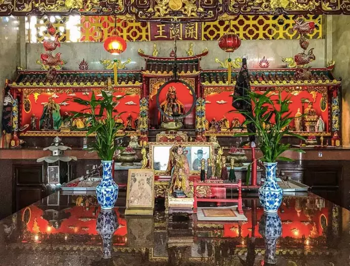  Cây phát lộc / phất dụ: Các nhà phong thủy tin rằng đây là một loại cây nên đặt trên bàn thờ để cầu may mắn, tiền tài cho mọi thành viên trong nhà. Cây phất dụ hay còn gọi là cây phát lộc và có trên 20 loài, mỗi loài tượng trưng cho sự may mắn, tài lộc riêng. Cây giúp gia tăng vượng khí lưu thông trong nhà, hút vận may, tài lộc. Vận khí tốt, cây sẽ phát triển tốt, đây là điềm lành cho sự thịnh vượng, may mắn, bình an. .