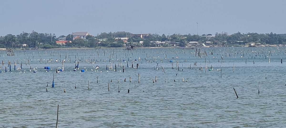 Đầm Lập An là một đầm nước lợ của Huế và một phần của vịnh Lăng Cô.