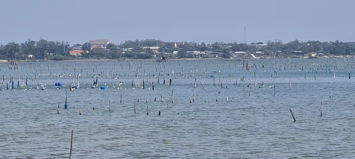 Đầm Lập An là một đầm nước lợ của Huế và một phần của vịnh Lăng Cô.