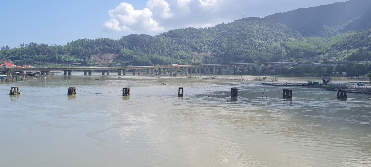 Núi non hùng vĩ, hòa lẫn vào biển cả bao la và màu xanh bạt ngàn của rừng nguyên sinh nhiệt đới.