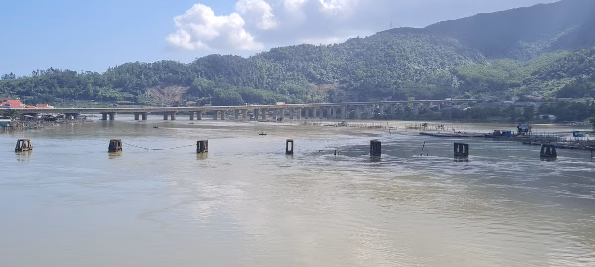 Núi non hùng vĩ, hòa lẫn vào biển cả bao la và màu xanh bạt ngàn của rừng nguyên sinh nhiệt đới.