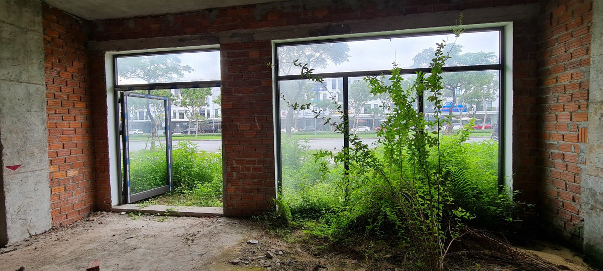 Phía trước là trục đường 60m nhộn nhịp bậc nhất của khu đô thị phía Tây Bắc thành phố, bên trong nhiều căn shophouse, cỏ dại mọc quá đầu người.