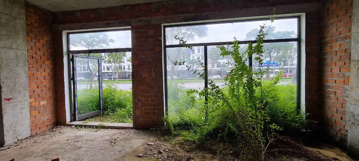 Phía trước là trục đường 60m nhộn nhịp bậc nhất của khu đô thị phía Tây Bắc thành phố, bên trong nhiều căn shophouse, cỏ dại mọc quá đầu người.