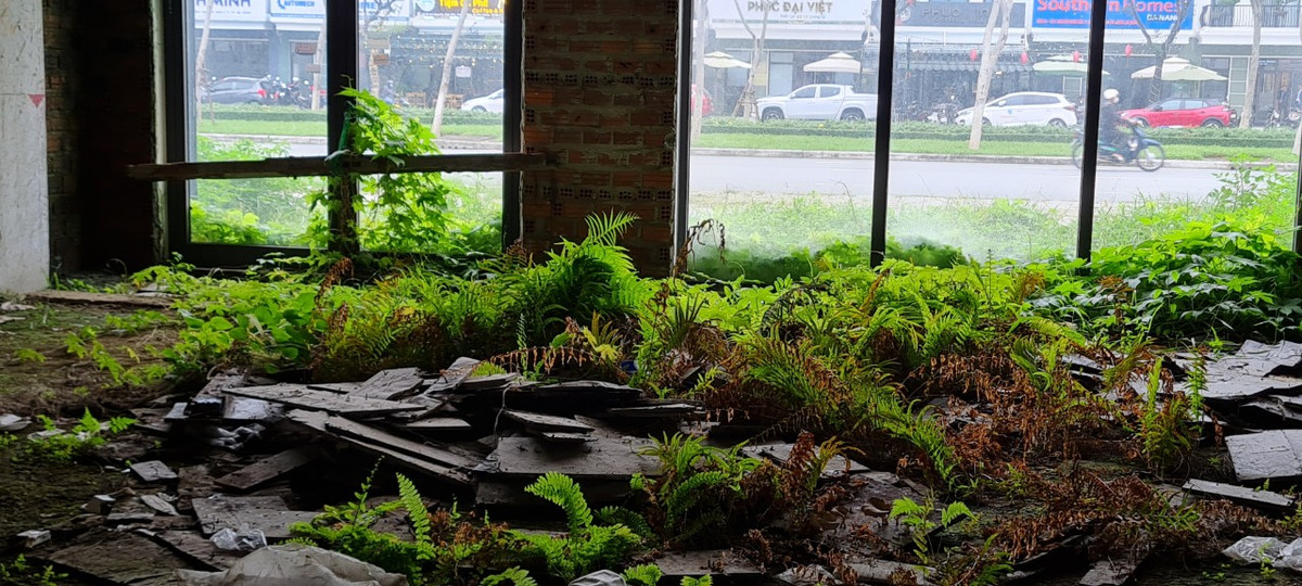 Cỏ len ra phía sau lớp cửa kính hào nhoáng từng được giới bất động sản ca ngợi là những thiết kế hoàn hảo nhất.