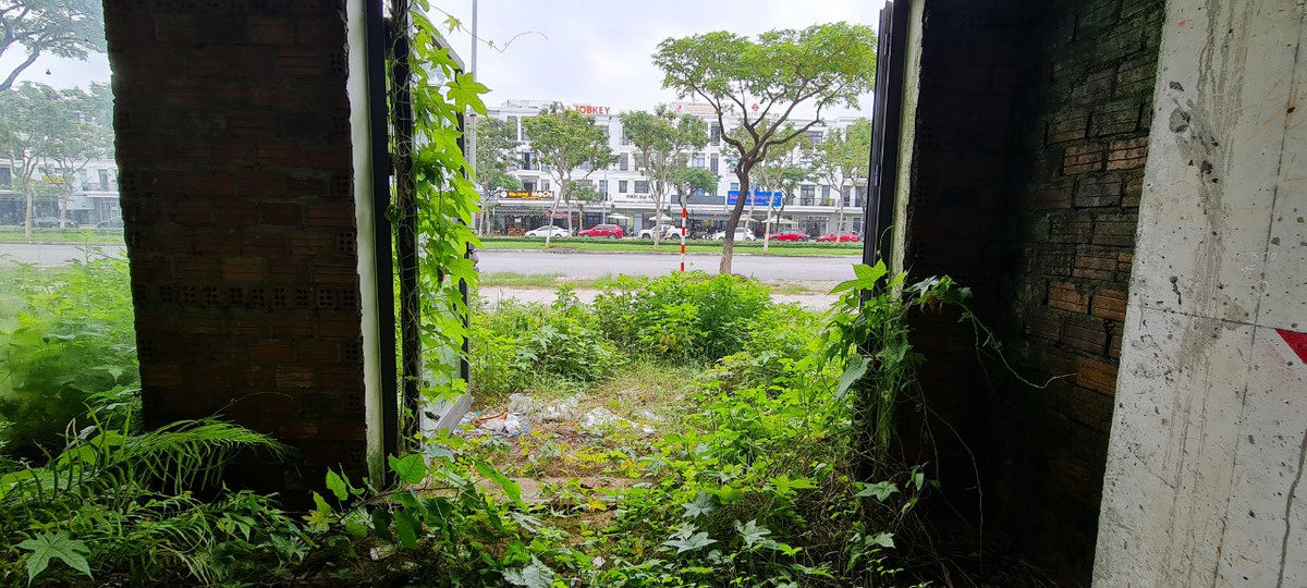 Cỏ dại bò từ ngoài vỉa hè vào tận cửa.