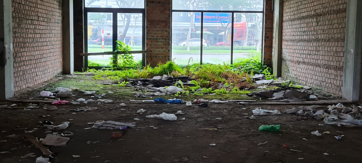 Cỏ và rác khắp nơi, bên trong các căn shophouse đang được rao bán hơn trăm triệu/m2.