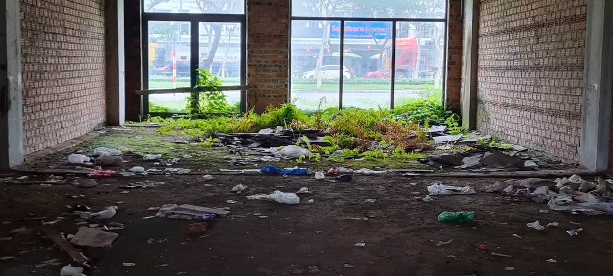 Cỏ và rác khắp nơi, bên trong các căn shophouse đang được rao bán hơn trăm triệu/m2.