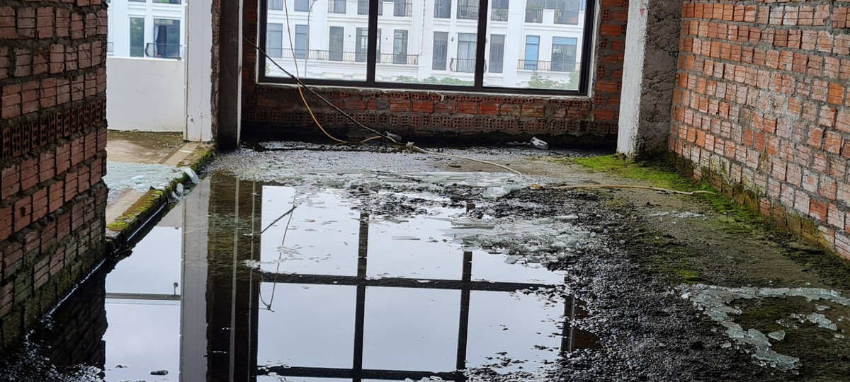 Rêu xanh phủ kín chân tường, nước mưa đọng thành vũng trở thành nơi sinh sống của ruồi muỗi.