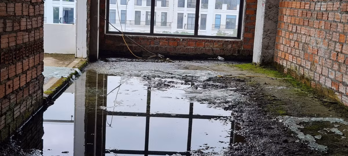 Rêu xanh phủ kín chân tường, nước mưa đọng thành vũng trở thành nơi sinh sống của ruồi muỗi.