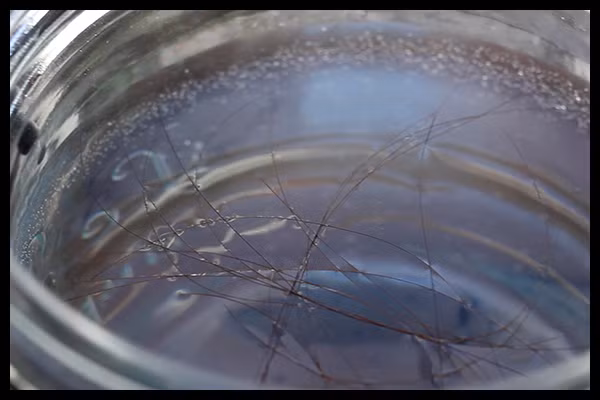 Tất cả những gì bạn cần là một cốc nước và một sợi tóc. Lưu ý cần đổ tối thiểu ¾ cốc nước. Sau đó thả sợi tóc vào trong nước. Nếu sợi tóc nổi thì mái tóc của bạn vẫn an toàn. Ngược lại nếu sợi tóc chìm xuống thì chứng tỏ tóc đã bị hư hại. 