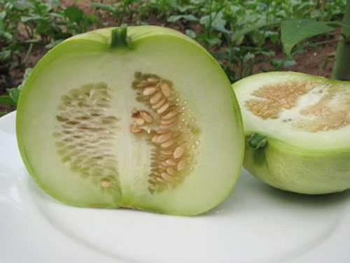 Vỏ ngoài dưa lê khá cứng và khó dập nát nên có thể dùng vải mềm để chà xát nhằm loại bỏ phần nào thuốc trừ sâu. 