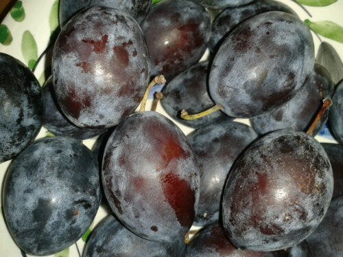 Mặc dù lớp phấn trắng này không nguy hại gì nhưng nếu bạn không thích ăn thì có thể áp dụng cách rửa táo sạch chỉ bằng khăn lau. Điều đáng nói là khi thu hoạch hoa quả, người ta thường rửa sơ qua hoặc lau cho hết bụi bẩn và điều này làm lớp phấn bảo vệ bên ngoài mất đi một ít. 