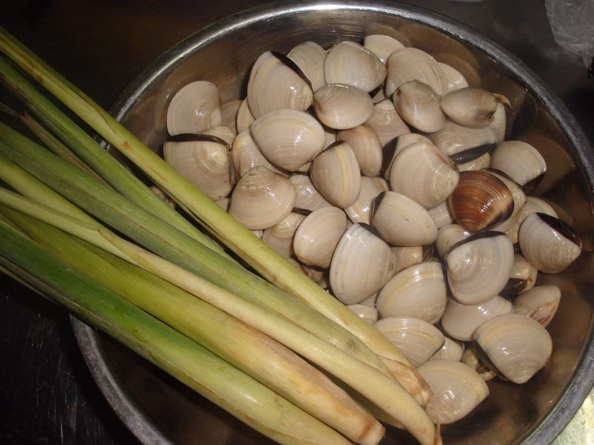 Các hợp chất có trong sả có tác dụng chống lại các tế bào tự do, ngăn ngừa sự phát triển của các tế bào ung thư. Do vậy, sả là chất chống ung thư rất tốt. 