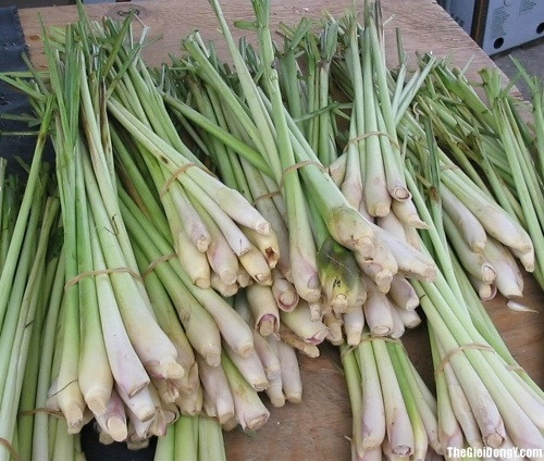 Đối với những phụ nữ hay gặp phải tình trạng stress trong thai kỳ, hương thơm của sả có tác dụng thư giãn, giảm lo lắng và thúc đẩy tâm trạng. Sả còn mang đến cho bà bầu giấc ngủ ngon.