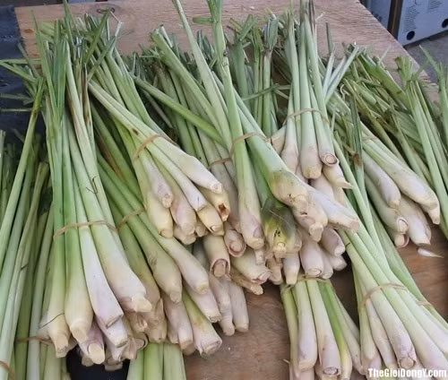 Đối với những phụ nữ hay gặp phải tình trạng stress trong thai kỳ, hương thơm của sả có tác dụng thư giãn, giảm lo lắng và thúc đẩy tâm trạng. Sả còn mang đến cho bà bầu giấc ngủ ngon.