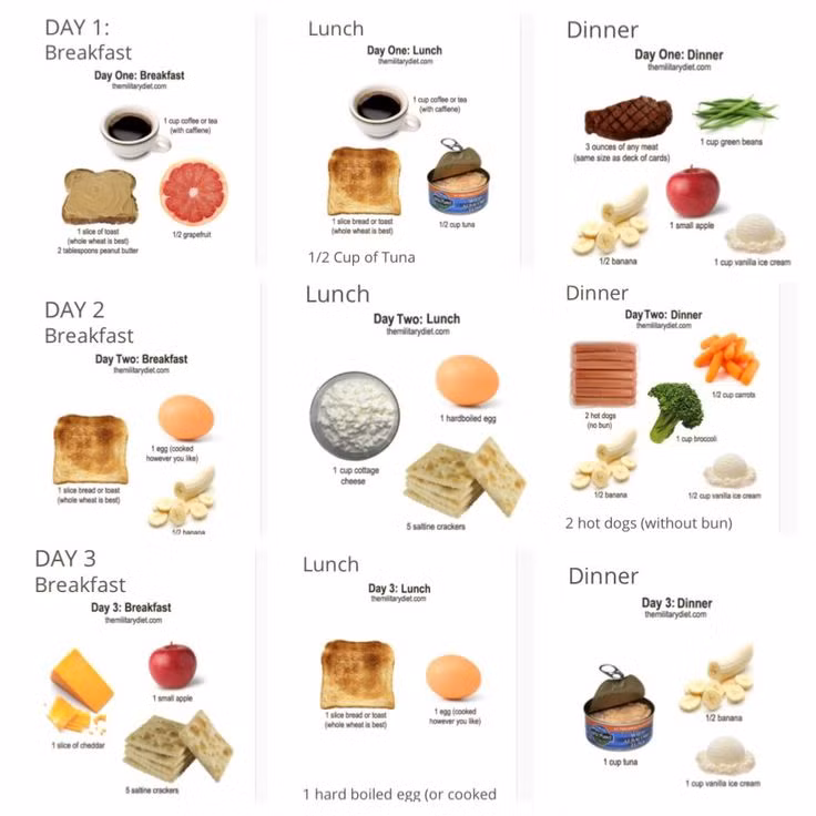 Chế độ ăn kiêng 3 ngày hay còn gọi là ăn kiêng kích thích tim với mục tiêu là giảm cân nhanh chóng, thường được áp dụng trong các bệnh viện cho các bệnh nhân bị loạn nhịp tim bắt buộc phải giảm cân nhanh để phẫu thuật tim. Chế độ này buộc bệnh nhân chỉ được ăn cực kỳ ít calo nên chỉ được áp dụng trong 3 ngày rồi nghỉ và lặp lại nếu cần. 