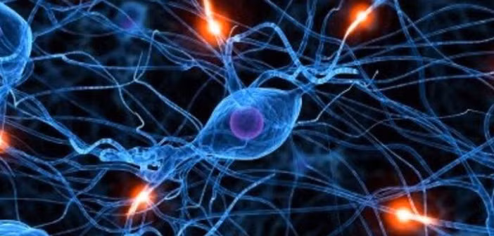 Một điều rất không hợp lý mà bạn vẫn phải chấp nhận là mỡ trong cơ thể cũng có thể sản sinh những hormone như estrogen và leptin khiến bạn khó giảm cân. Để kiểm soát tốt hormone, tránh ăn thực phẩm chế biến sẵn có nhiều đường. 