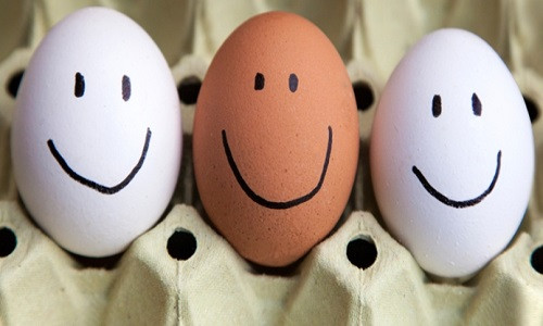 Một số giống gà mái nuôi trong môi trường hữu cơ được cho ăn thức ăn giàu omega-3, trong đó có hạt lanh. Loại gà này đẻ ra loại trứng giàu axit béo. Về kỹ thuật, trứng hữu cơ giàu omega-3, bất kể màu trắng hay màu nâu, mới chính là loại trứng tốt nhất cho sức khỏe và cũng là loại trứng đắt tiền nhất.